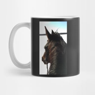 Views from the saddle Mug